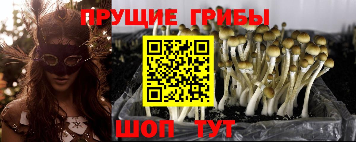 Галлюциногенные грибы мухоморы Вольск