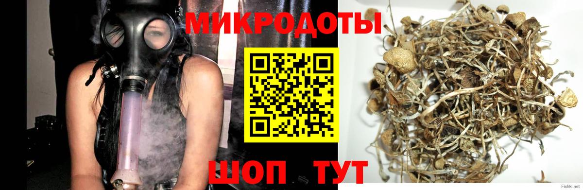 Вольск  Псилоцибиновые грибы мицелий  Вход с VPN 